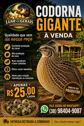 Codorna gigante