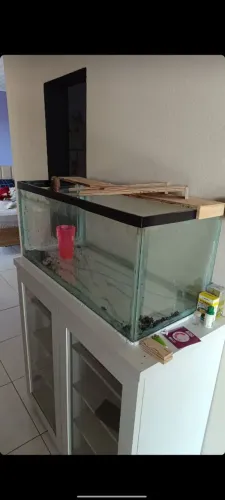 Aquário