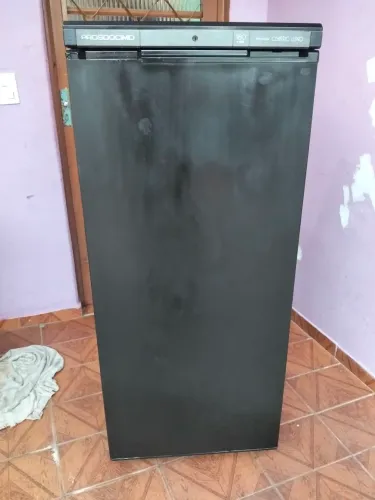 Freezer vertical