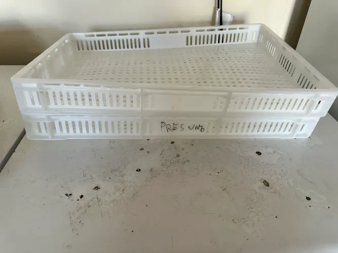 Bandeja para congelamento