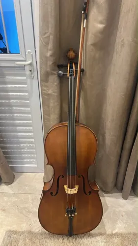 Violoncelo Eagle C 300