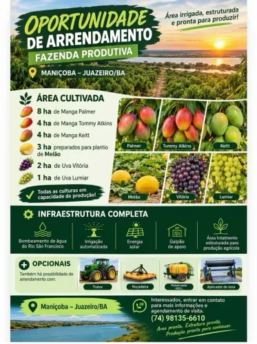 ARRENDAMENTO DE FAZENDA (MANGA, MELÃO E UVA) NO VALE DO SÃO FRANCISCO