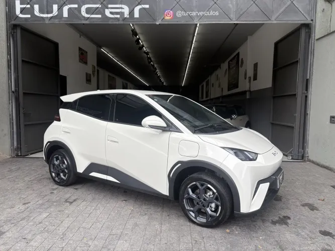 BYD Dolphin Mini (Elétrico) 2026
