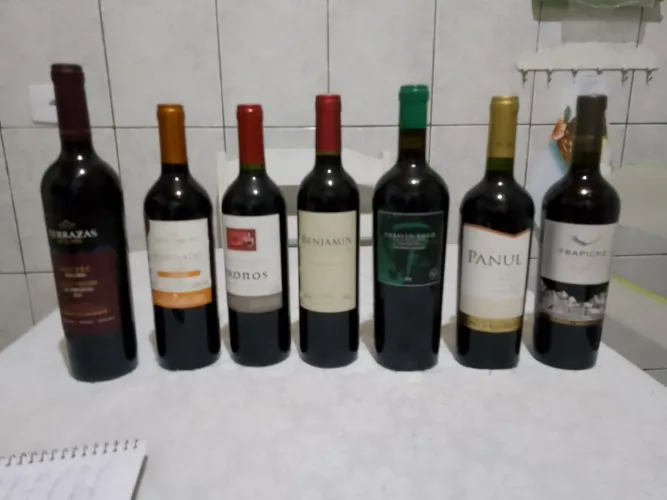 Oportunidade Vinhos