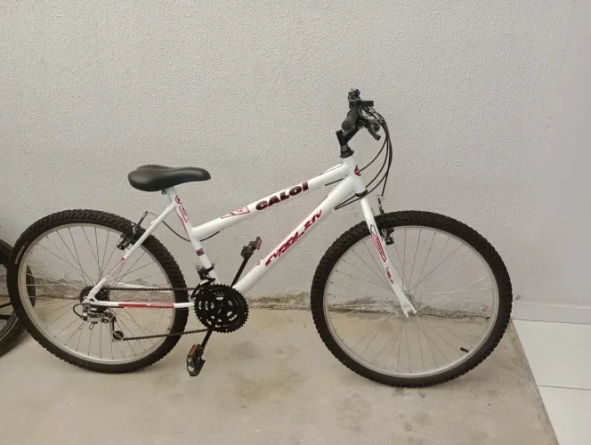 Bicicleta