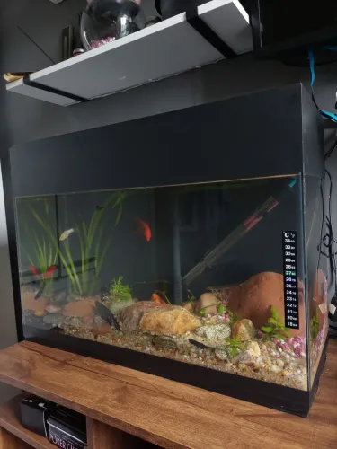 Aquário de vidro 60l