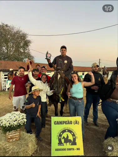Cavalo marcha picada campeoníssimo
