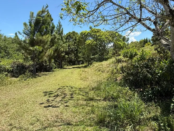 Fazenda para Venda em Cachoeiras de Macacu, Área Rural, 3 dormitórios, 1 suíte, 2 banheiro