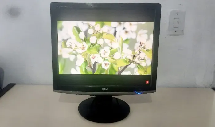 Monitor LG Flatron 17" Widescreen LCD W1752T