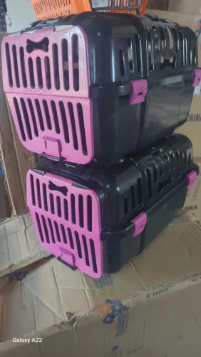 Casinha de gato