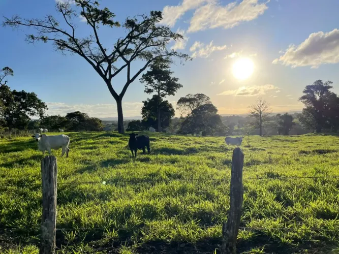 Imóvel para venda com 50 hectares  com 3 quartos em Distrito Alto do Bonito - Bonito - PE