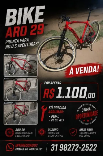 BIKE ARO 29
