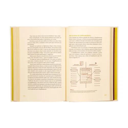 Livro Segredos dos Experts 
