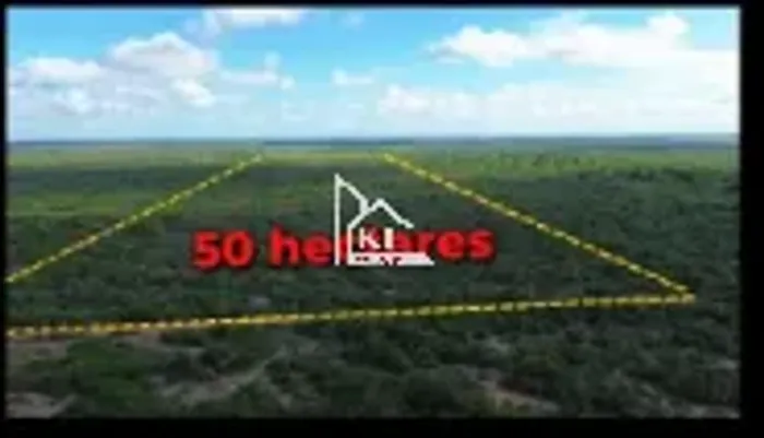Propriedade Exclusiva de 60 Hectares com Potencial Ilimitado - Ceara Mirim