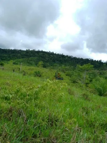 Sítio à venda - Urupá/RO