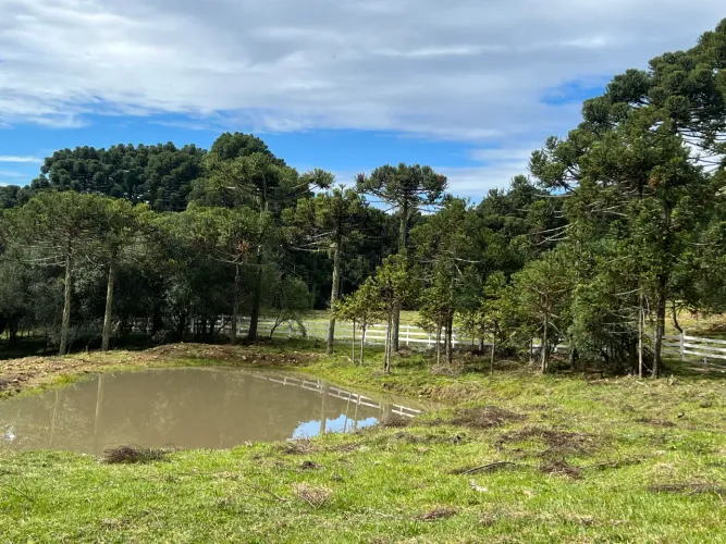 Terreno 3 hectares- próx. Vinícolas em São Joaquim SC