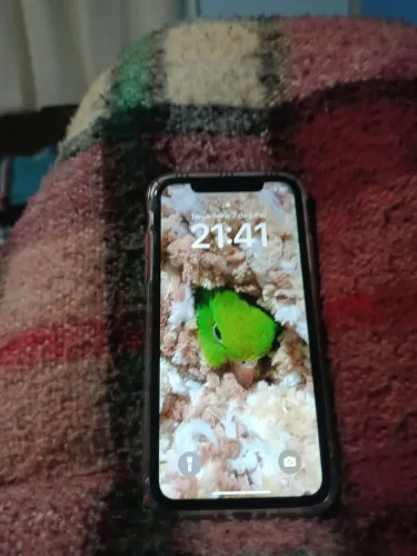 Vendo iPhone XR 128 gigas 128 gigas vermelho 