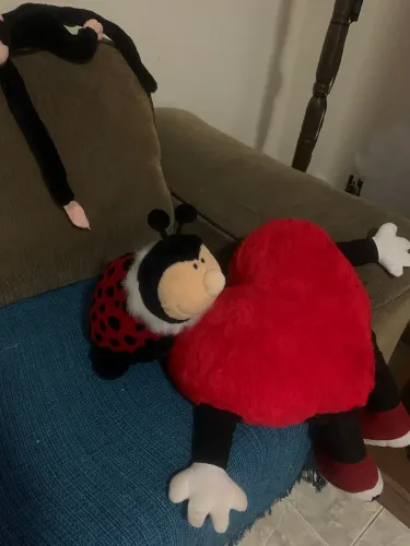 Desapego pelúcia