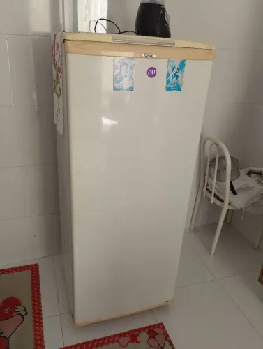 Armário de cozinha e geladeira 