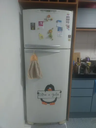 geladeira Electrolux DF45 Frost Free