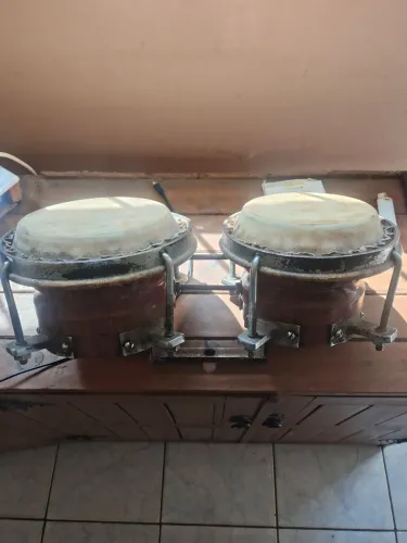 Bongo anos 80