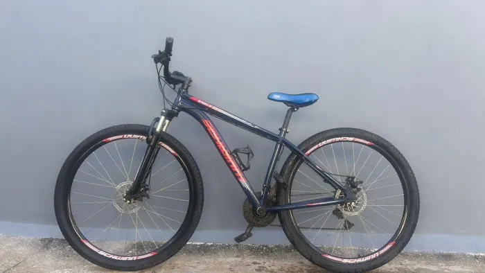 Bicicleta Schwinm