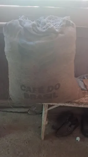 Safra de café ?