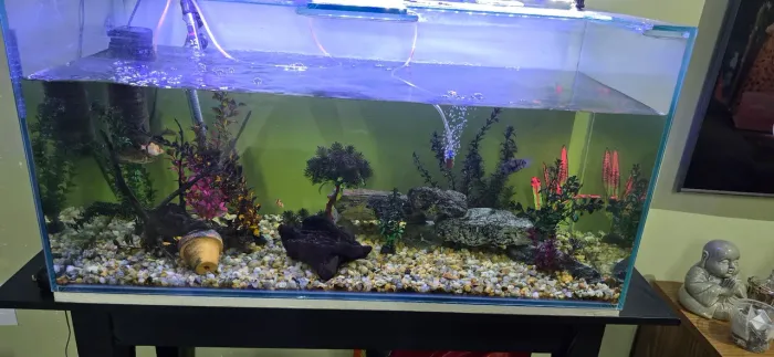 Aquario 200Lt