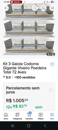 VENDO TRÊS GAIOLAS DE CODORNAS