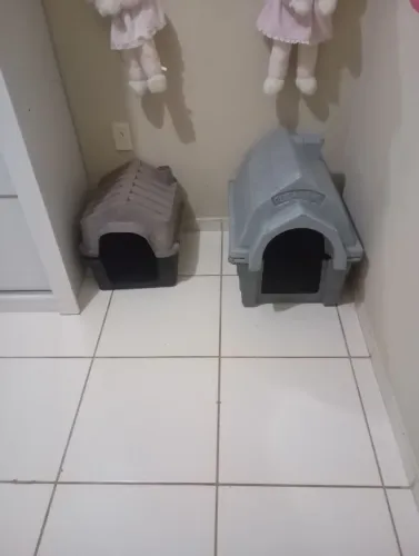 Casa de cachorro