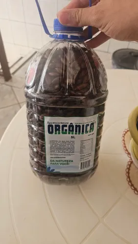 Castanha de Baru