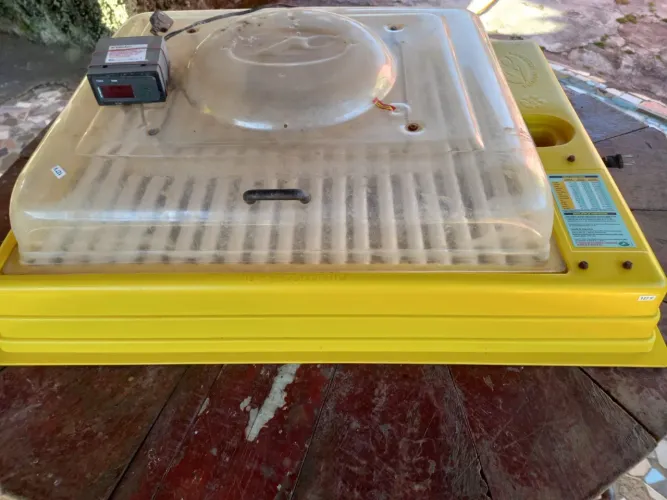 Chocadeira automática 150 ovos