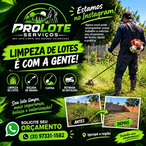 LIMPEZA DE LOTE ?