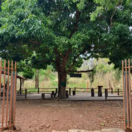 CHÁCARA- PANTANAL DE BARÃO DE MELGAÇO