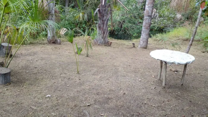 CHÁCARA COM RIO E NATUREZA HÁ 10KM DE POSSE, NO CAMINHO PARA A TERRA RONCA!