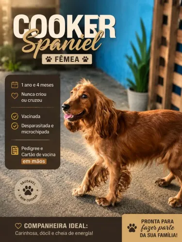 Fêmea jovem linda?