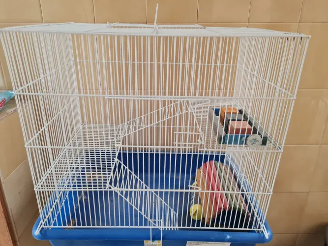 Gaiola hamster