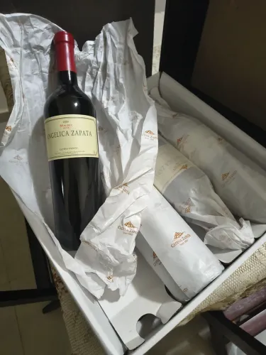 Vinhos argentinos finos pronta entrega 