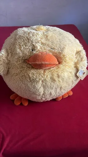 Urso Novo!!!