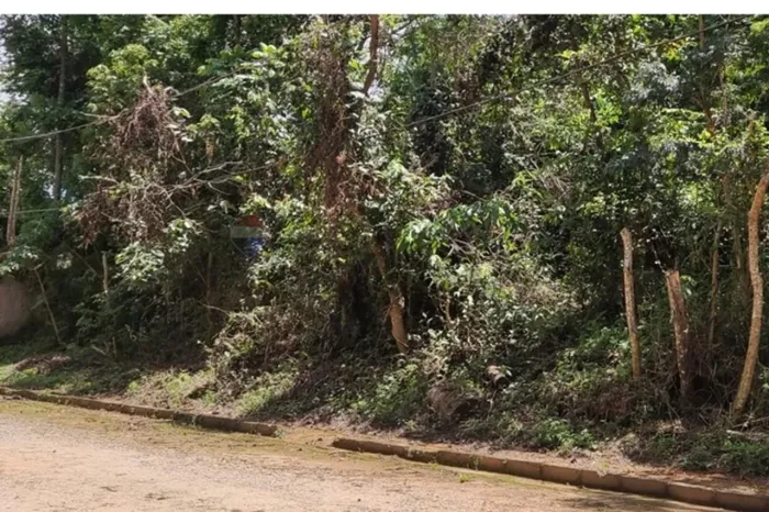 Terreno 1500m² em Condomínio fechado em meio a mata virgem , a 60 km de São Paulo com e fa