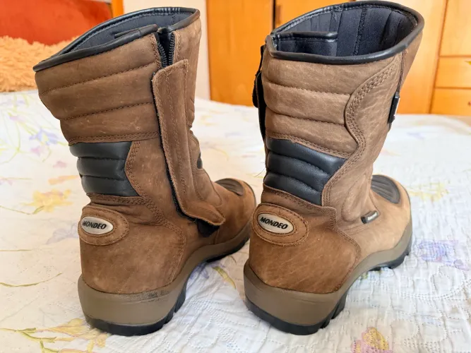 Bota