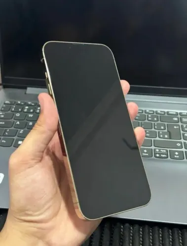 iPhone 13pro Max