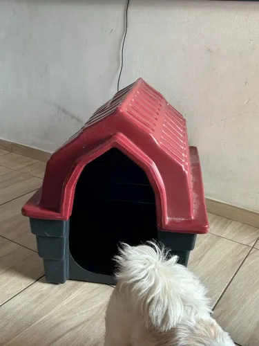 Casinha de cachorro