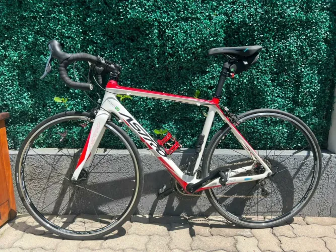 Bicicleta SPEED ASTRO ROAD RACING CARBON
