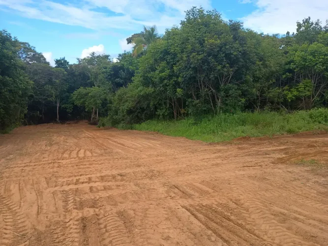 Terreno em sucupira de Abrantes.