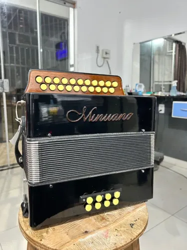 Acordeon Gaita Ponto 8 Baixos Minuano Do/sol Bandoneon
