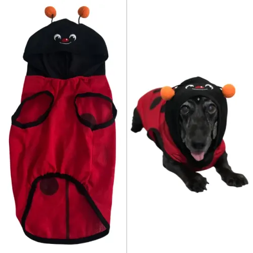 Roupa Cachorro Fantasia Joaninha Tamanho M