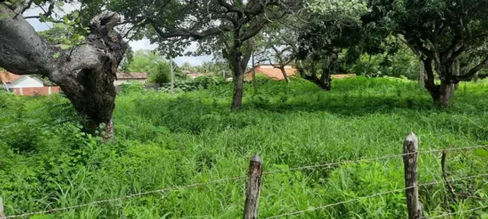 Oportunidade única Cascavel - Raridade