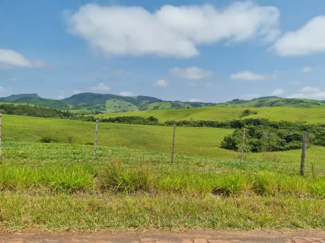 Fazenda em Carlópolis  150 alqueiro 