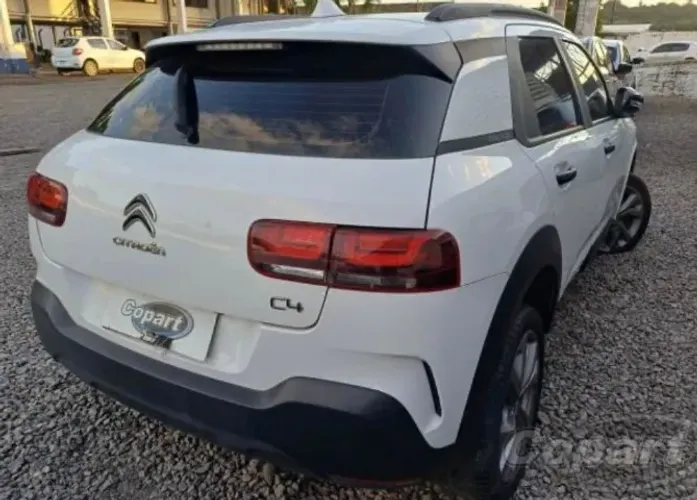 Sucata cactus 2020